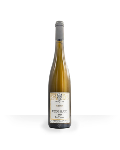 Pinot blanc La vallée 2020 Domaine Herr